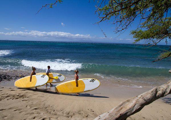 Introducing the Odysseus - Naish.com