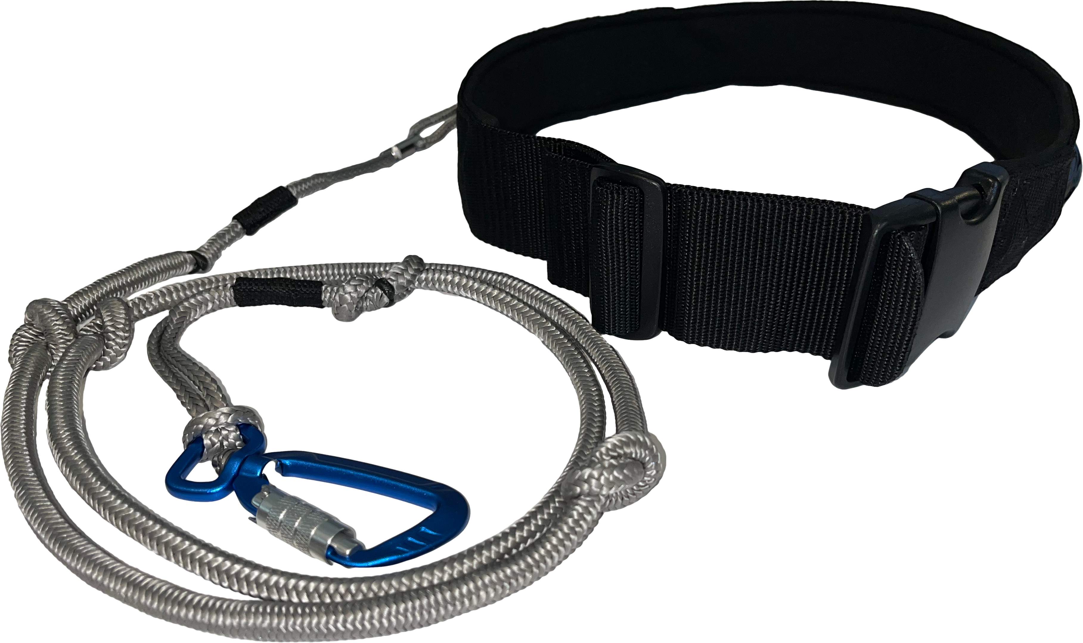Wing-Surfer Belt Leash