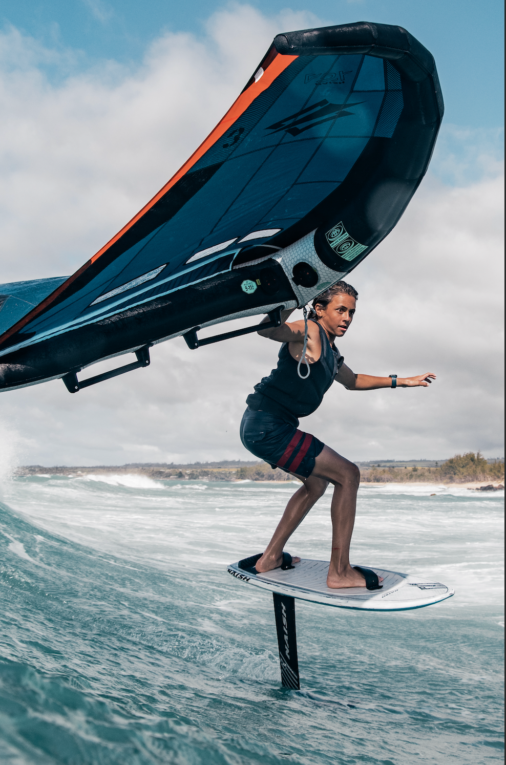 Wing-Surf Collection Wing-Surf Collection